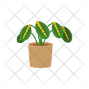 پیش‌نمایش فایل potted-plant-1654852 از پک گیاهان خانگی