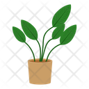 پیش‌نمایش فایل potted-plant-1654853 از پک گیاهان خانگی
