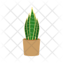 پیش‌نمایش فایل potted-plant-1654855 از پک گیاهان خانگی
