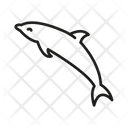پیش‌نمایش فایل dolphin-1661716 از پک تابستان