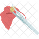 پیش‌نمایش فایل parotid-3581853 از پک غدد بزاقی
