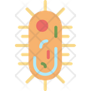 پیش‌نمایش فایل virus-5235769 از پک دندانپزشکی