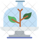 پیش‌نمایش فایل artificial-plant-5238736 از پک بوم شناسی