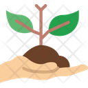 پیش‌نمایش فایل soil-5238764 از پک بوم شناسی