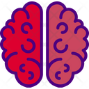 پیش‌نمایش فایل brain-5247878 از پک پزشکی