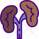 پیش‌نمایش فایل kidneys-5247882 از پک پزشکی