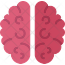 پیش‌نمایش فایل brain-5247638 از پک پزشکی