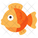 پیش‌نمایش فایل goldfish-5979234 از پک حیوانات خانگی