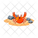 پیش‌نمایش فایل crab-10528933 از پک خرچنگ