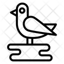 پیش‌نمایش فایل bird-in-bird-cage-10782029 از پک پرنده