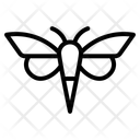 پیش‌نمایش فایل butterfly-10454477 از پک حشره