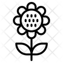 پیش‌نمایش فایل flower-10034283 از پک روستا