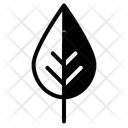 پیش‌نمایش فایل leaf-10059666 از پک مزرعه