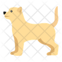 پیش‌نمایش فایل dog-7378128 از پک سگ