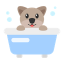 پیش‌نمایش فایل dog-shower-7378121 از پک سگ