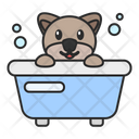 پیش‌نمایش فایل dog-shower-7482802 از پک سگ
