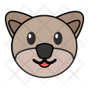 پیش‌نمایش فایل pet-face-7482808 از پک سگ