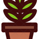 پیش‌نمایش فایل indoor-plant-11963874 از پک باغبانی