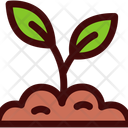 پیش‌نمایش فایل sprouting-seeds-11963886 از پک باغبانی