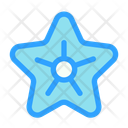 پیش‌نمایش فایل starfish-11682823 از پک تابستان