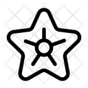 پیش‌نمایش فایل starfish-11682940 از پک تابستان