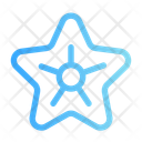 پیش‌نمایش فایل starfish-11683042 از پک تابستان