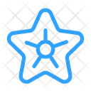 پیش‌نمایش فایل starfish-11682981 از پک تابستان