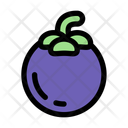 پیش‌نمایش فایل mangosteen-12317175 از پک استوایی