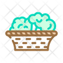 پیش‌نمایش فایل broccoli-basket-5892731 از پک بروکلی