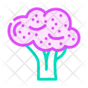 پیش‌نمایش فایل purple-broccoli-5892733 از پک بروکلی