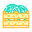 پیش‌نمایش فایل cabbage-box-5892736 از پک کلم
