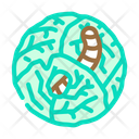 پیش‌نمایش فایل cabbage-worm-5892755 از پک کلم