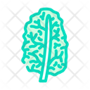 پیش‌نمایش فایل kale-5892746 از پک کلم