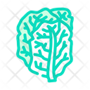 پیش‌نمایش فایل kale-5892747 از پک کلم