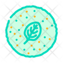 پیش‌نمایش فایل spinach-tortilla-5892895 از پک اسفناج و سبزیجات سالادی