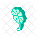 پیش‌نمایش فایل clover-2792432 از پک قرعه‌کشی و لاتاری