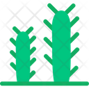 پیش‌نمایش فایل cactus-5883596 از پک بیابان