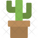 پیش‌نمایش فایل cactus-pot-5883601 از پک بیابان