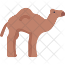 پیش‌نمایش فایل camel-5883591 از پک بیابان