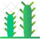 پیش‌نمایش فایل cactus-5883697 از پک بیابان