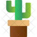 پیش‌نمایش فایل cactus-pot-5883702 از پک بیابان