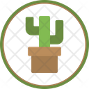پیش‌نمایش فایل cactus-pot-5883797 از پک بیابان