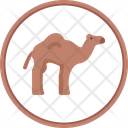 پیش‌نمایش فایل camel-5883787 از پک بیابان