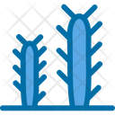 پیش‌نمایش فایل cactus-5883838 از پک بیابان