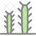 پیش‌نمایش فایل cactus-5883992 از پک بیابان