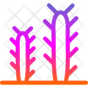 پیش‌نمایش فایل cactus-5884135 از پک بیابان