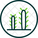 پیش‌نمایش فایل cactus-5884327 از پک بیابان