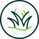 پیش‌نمایش فایل tumbleweed-5884367 از پک بیابان