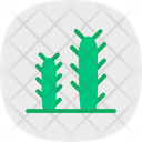 پیش‌نمایش فایل cactus-5884669 از پک بیابان