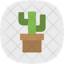 پیش‌نمایش فایل cactus-pot-5884674 از پک بیابان